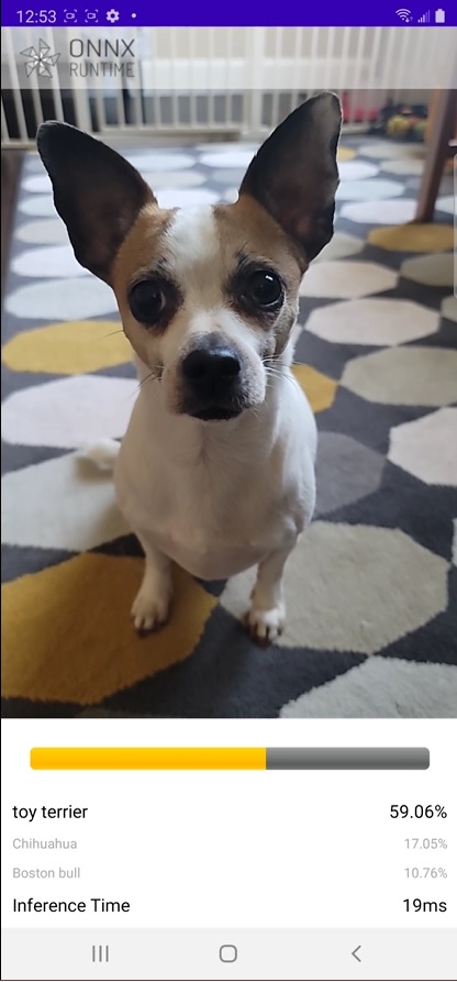 おもちゃのテリア犬の分類例を示すスクリーンショット